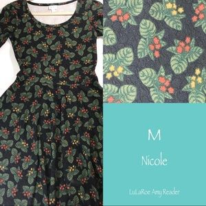 LuLaRoe Nicole dress